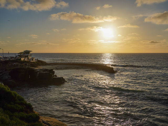 🇺🇸미국서부 센디에고 비치 La Jolla Cove!🇺🇸