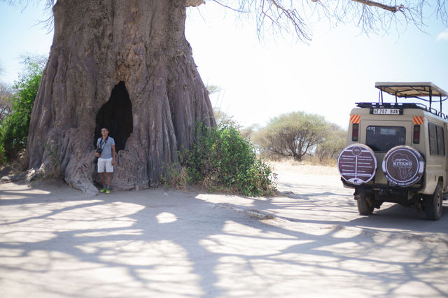 4 days Tanzania private safari 