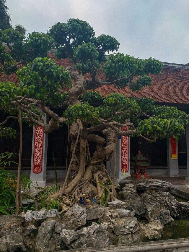Learn Something New at Hanoi's Temple of Literature 