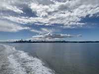 Enjoy one day Ferry trip in San Francisco