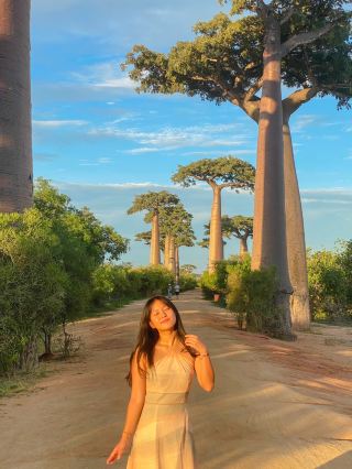 Visit the Baobab Trees in Madagascar