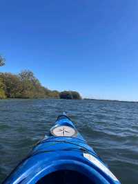 Dolphin Sanctuary Kayak Tour Adelaide