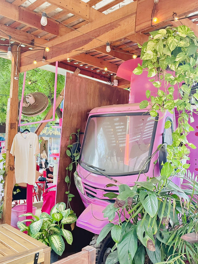 メキシコのサーファーズパラダイス🏝️