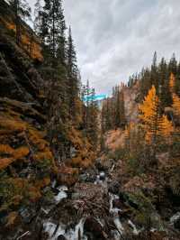 Banff's hidden gem for those who don't like hiking💎