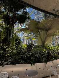 2025西雅圖亞馬遜必去景點：The Spheres