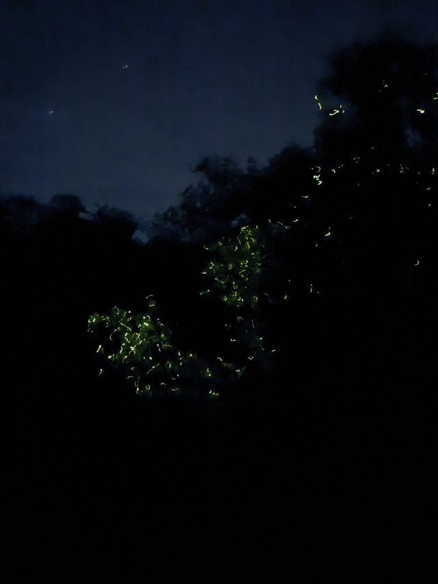 Discover Nature Magic at Naga🌳🌋💦 Discover Nature Magic at Naga🌳🌋💦