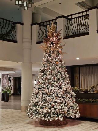 ワシントンDCでクリスマス気分を満喫できるホテル