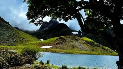 Di pantai pada sore hari, sekelompok anak-anak mengejar omba — traveler post in Pingyu