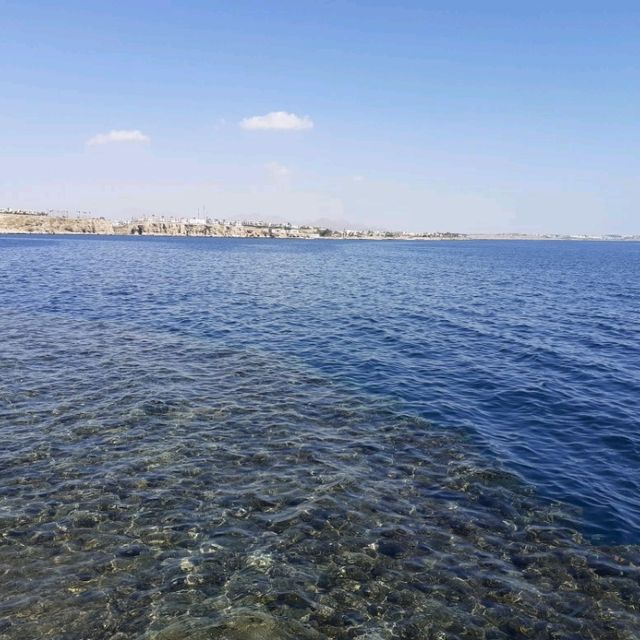 Fantastic for Snorkelling, beautiful Corals