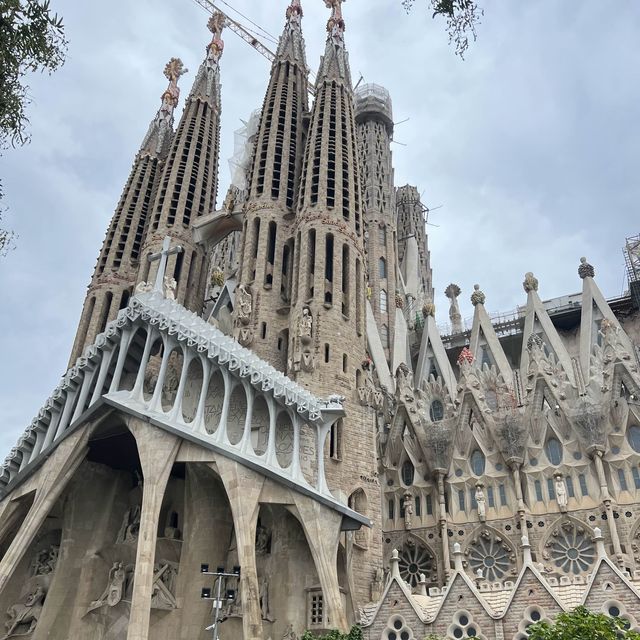【スペイン】バルセロナで食べた美味しい海鮮集