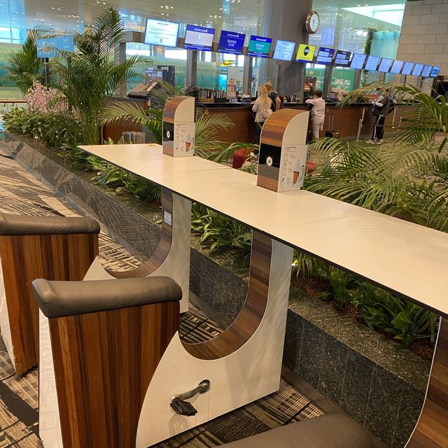 Singapore Changi Airport 