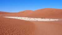 Wild Serenity in Namibia