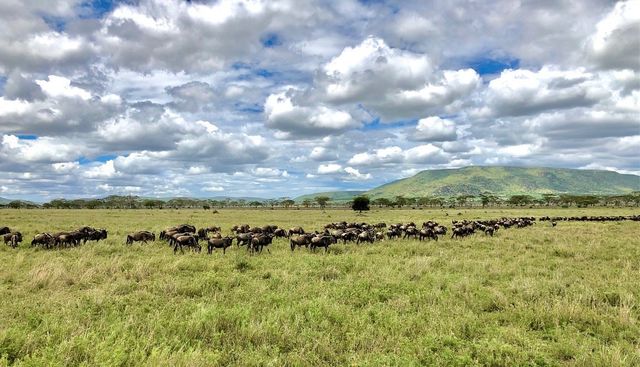 Chasing Sunsets in the Serengeti