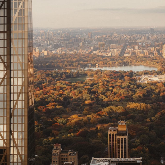 Experience the NYC during Thanksgiving 🦃 