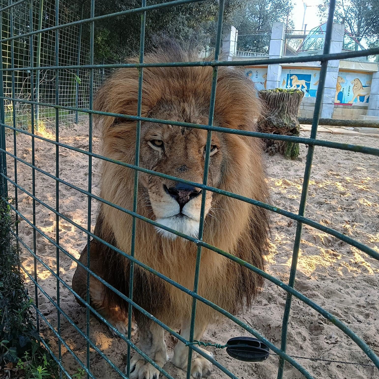 라 팔미르 동물원 🦒🐘