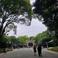 🌳 Tokyo's Yoyogi Park: