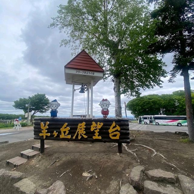 🐑羊之丘展望台🐑山頂觀景台看綿羊🐏品嚐鮮羊奶