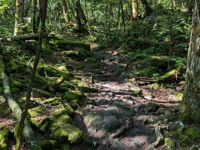 One day at the Five Lakes of Fuji. Just two hours drive from Tokyo there is a magnificent place!