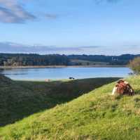 Aarhus: hidden gem of denmark!