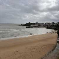 Trip Experience to Tenby Harbour