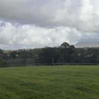 A Ribbleside Ramble