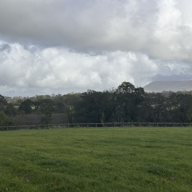 A Ribbleside Ramble