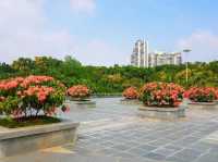 深圳國際園林花卉博覽園