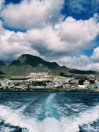 🌊 Ocean Magic: Dolphin and Whale Watching in Tenerife!