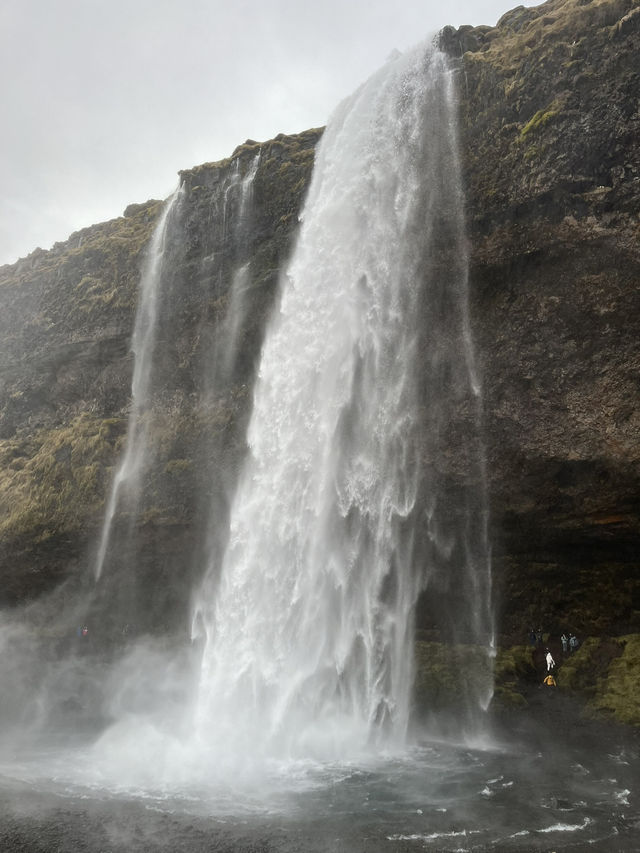 ❄️ Iceland Adventure: Waterfalls, Black Sand Beaches & Northern Lights Magic 🇮🇸✨