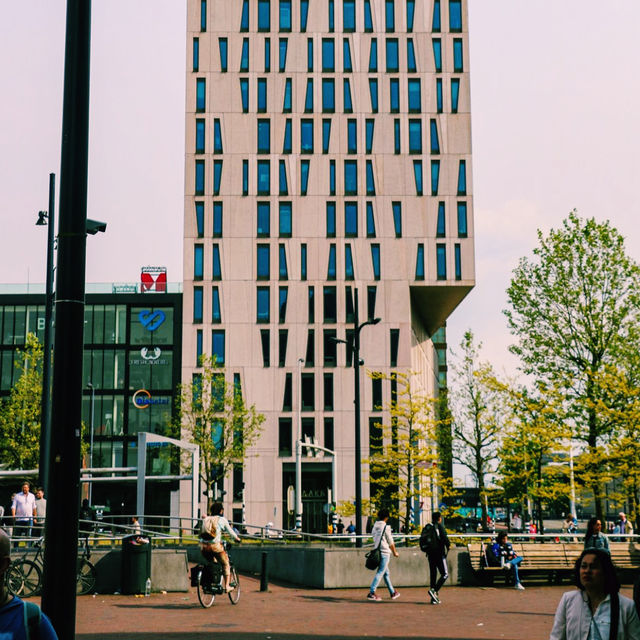 💳 Rotterdam Welcome Card: Explore the City, Save Big!