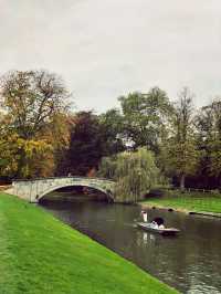 From Cobblestones to City Lights: Cambridge to London, the Smart Way