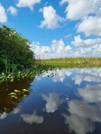Huge national park near Miami: the Everglades 