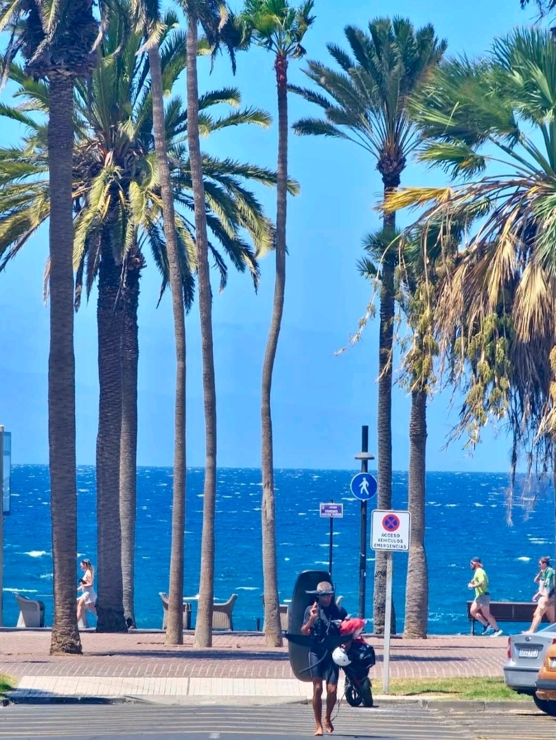 Playa de las Américas: Lively Vibes and Endless Sunshine 🌞🌴