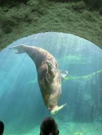 Best Europe Zoo in Belgium