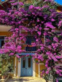 Heybeliada & Büyükada: Tranquil Escapes of the Princes’ Islands