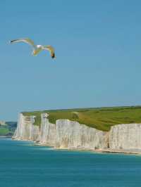 The Majestic White Cliffs: Nature’s Stunning Masterpiece