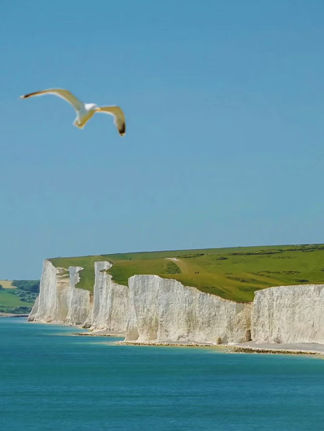 The Majestic White Cliffs: Nature’s Stunning Masterpiece