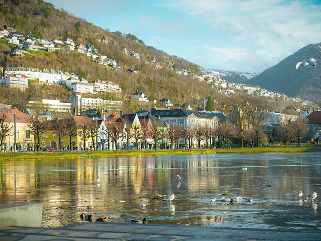 🎄Bergen – Norway’s Fairytale Port Town with Fjord Charm 🎁
