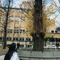 Tokyo’s Hidden Corners: Discover the City Beyond the Crowds