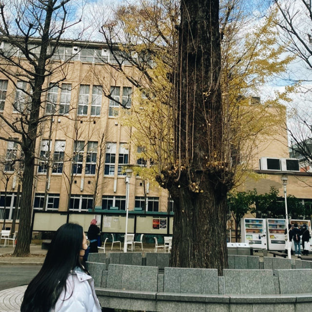 Tokyo’s Hidden Corners: Discover the City Beyond the Crowds