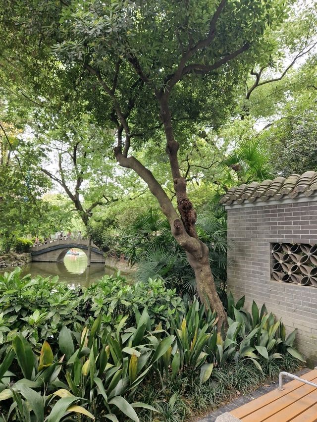 Zen Garden Mood in Chengdu🌳