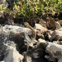 St Julian's 4 Days Itinerary
