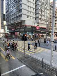 Hong Kong City Gems🌆