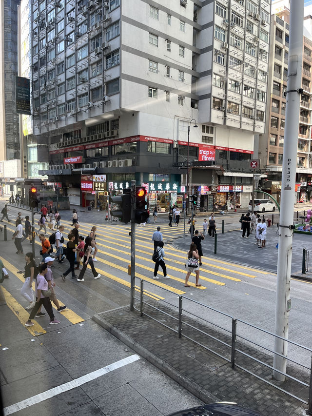 Hong Kong City Gems🌆