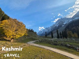🇮🇳 Thajiwas Glacier, Sonamarg Kashmir