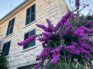 ซูเปตาร์: ประตูสู่แสงแดดของเกาะแบรค