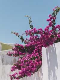 Santorini, Greece – Blue Domes and Endless Skies