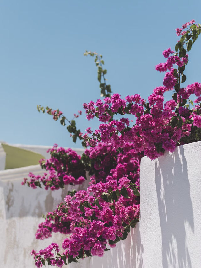 Santorini, Greece – Blue Domes and Endless Skies