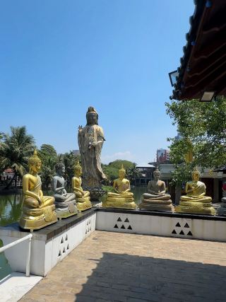 A Lake of Pelicans and a Floating Temple in Colombo