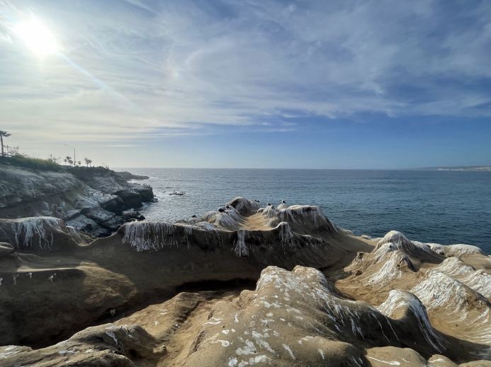 玩轉美國西岸！聖地牙哥 (San Diego) 旅遊全攻略：感受南加州的陽光與海灘 🌴